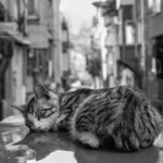 The Underground Never Sleeps on Friday